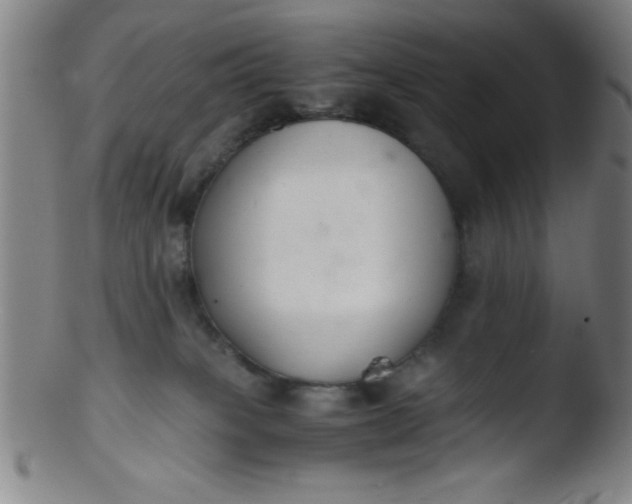 X0000103480085200809261937