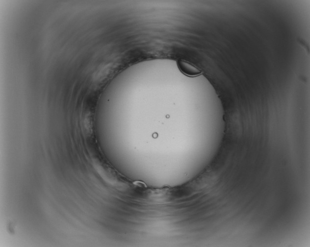 X0000103480088200809261937