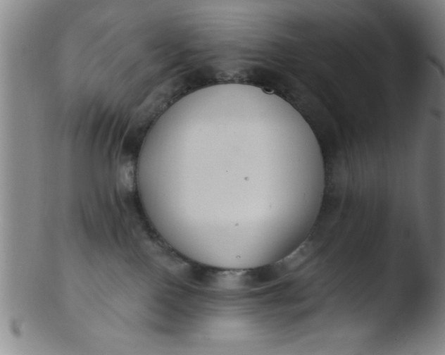 X0000103480090200809261937