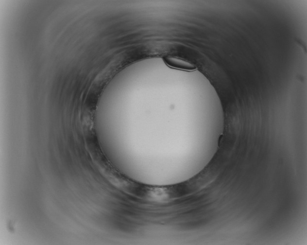 X0000103480091200809261937