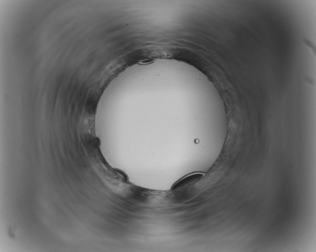 X0000103480096200809261937