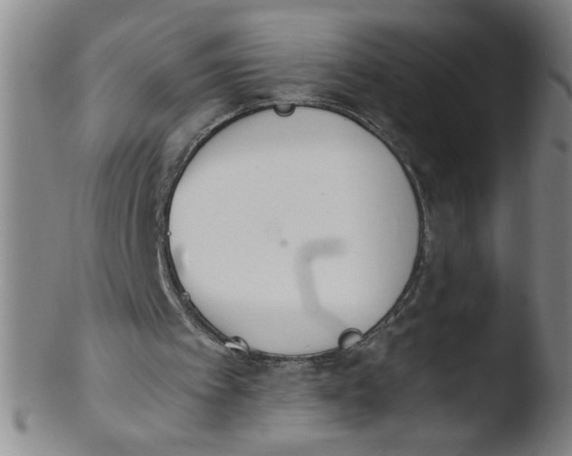 X0000103480097200809261936