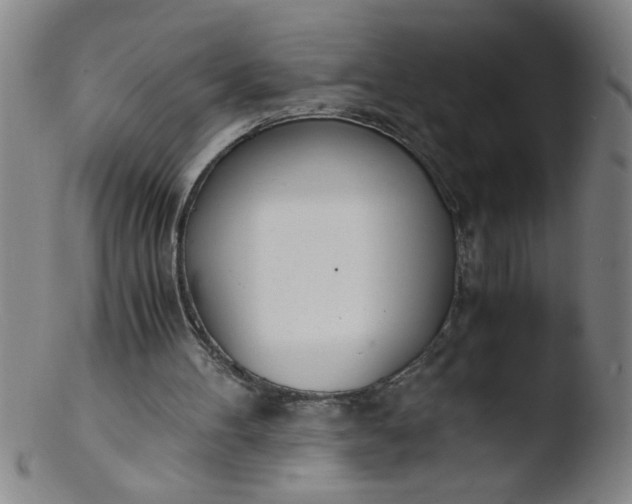 X0000103480100200809261936