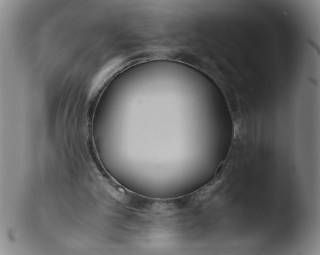 X0000103480101200809261936