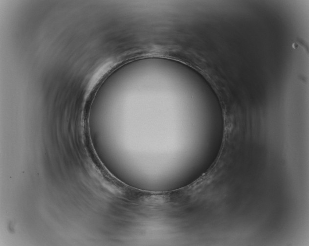 X0000103480102200809261936