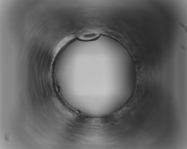 X0000103480104200809261936