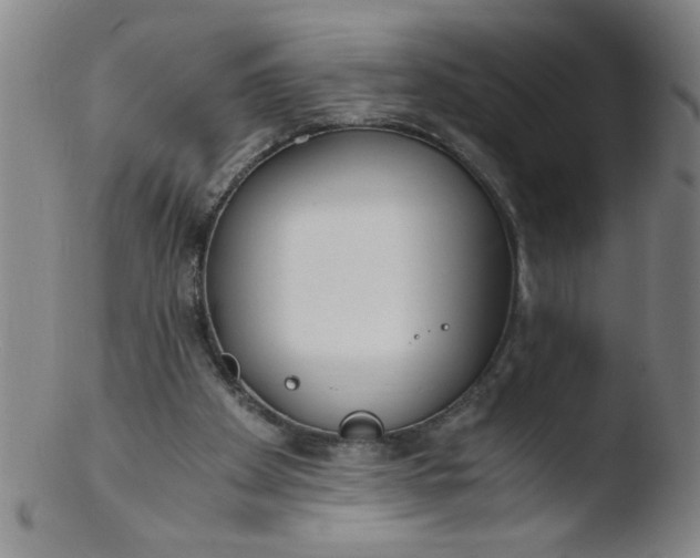 X0000103480105200809261936