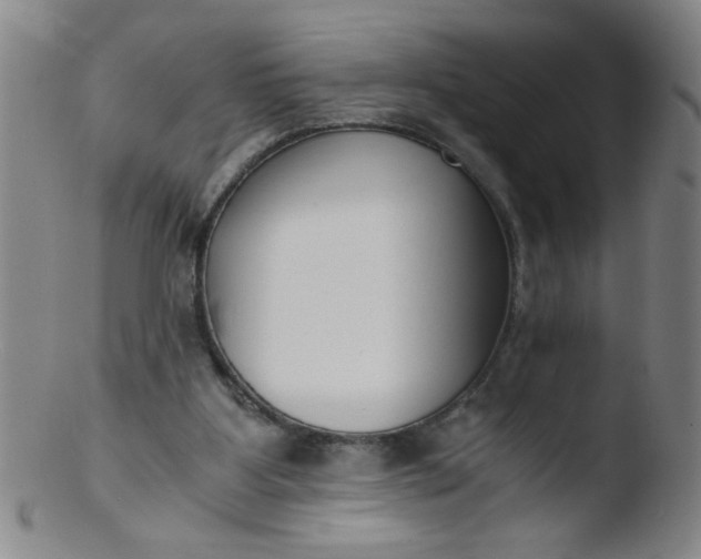 X0000103480107200809261936