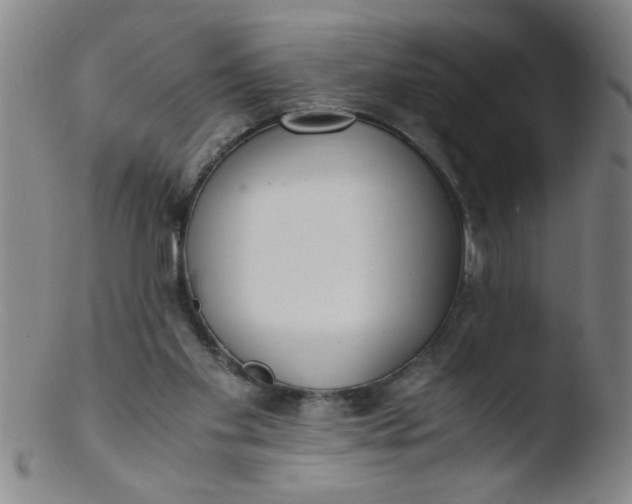 X0000103480109200809261936