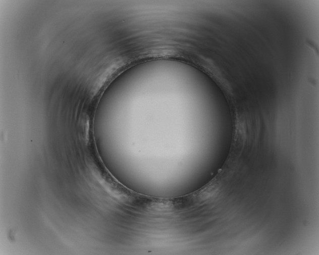 X0000103480110200809261936