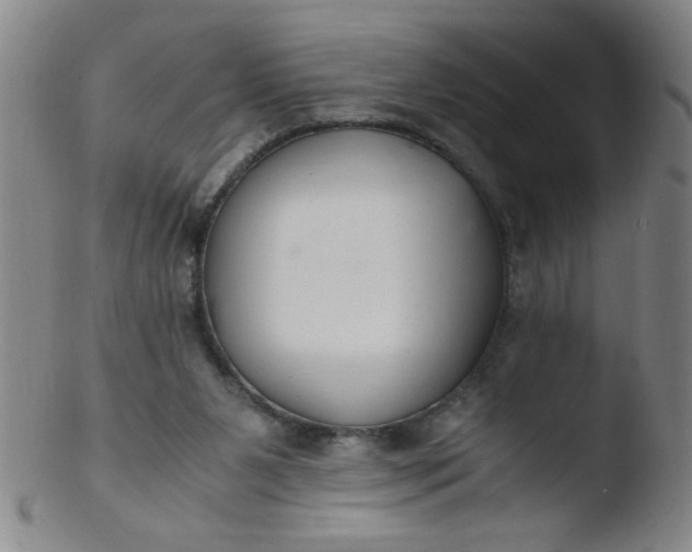 X0000103480111200809261936