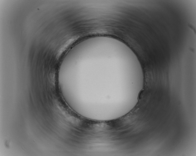 X0000103480112200809261936