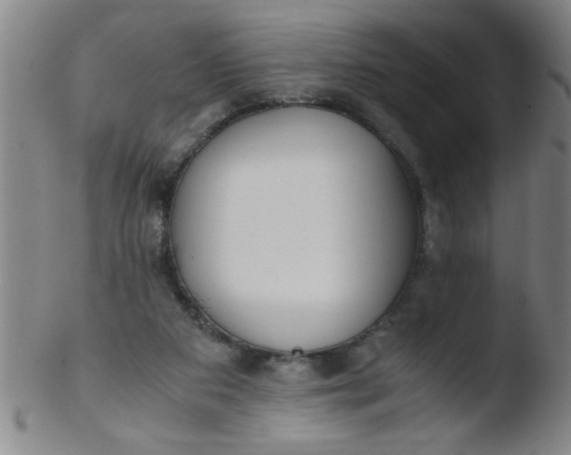 X0000103480113200809261936