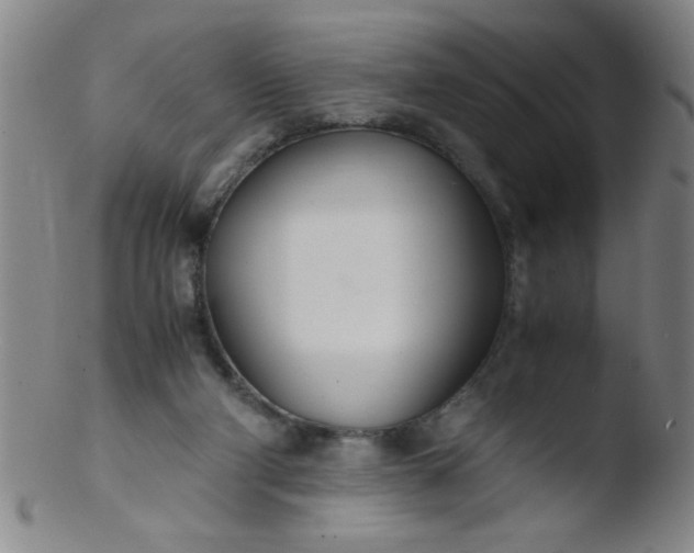 X0000103480114200809261936