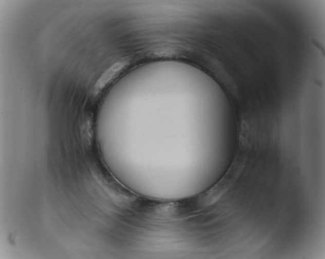 X0000103480116200809261936