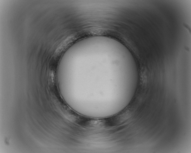 X0000103480117200809261936