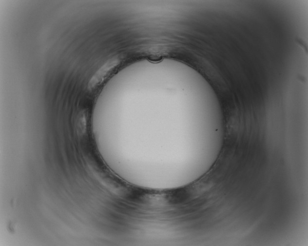 X0000103480120200809261936