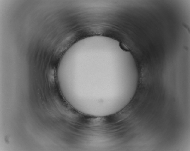 X0000103480122200809261936