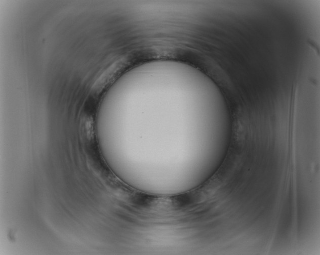 X0000103480123200809261936