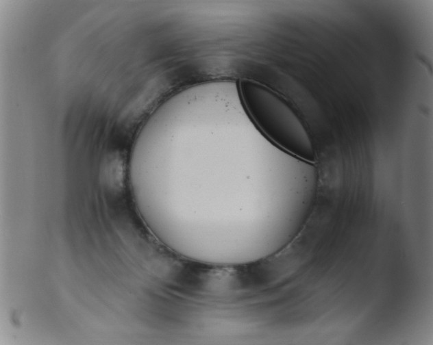 X0000103480124200809261936