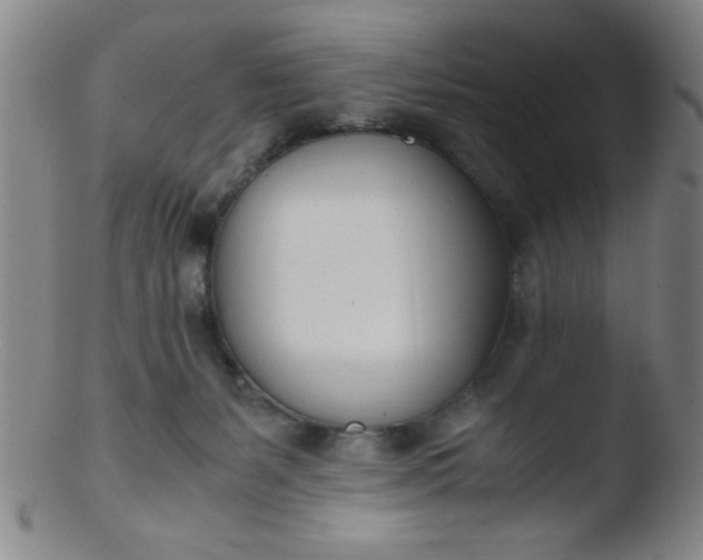 X0000103480127200809261936