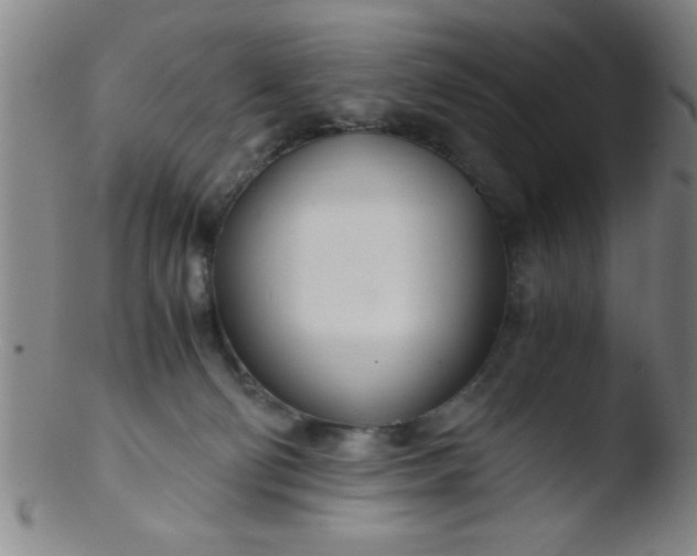 X0000103480130200809261936