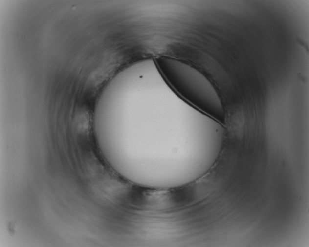 X0000103480132200809261936