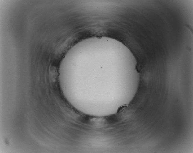 X0000103480133200809261936