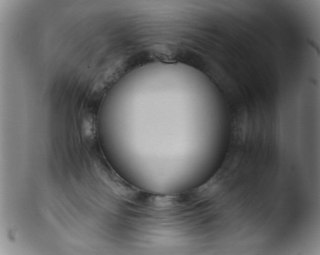 X0000103480134200809261936