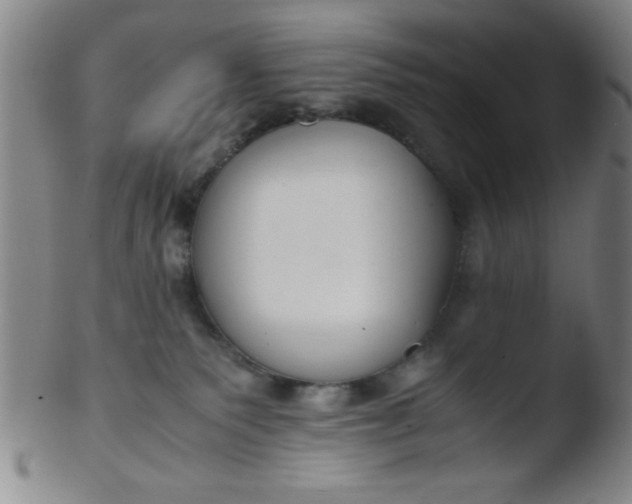 X0000103480135200809261936