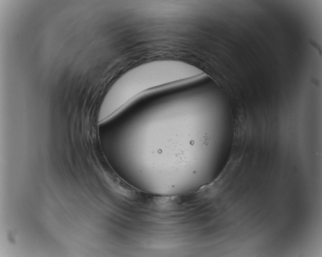 X0000103480136200809261936