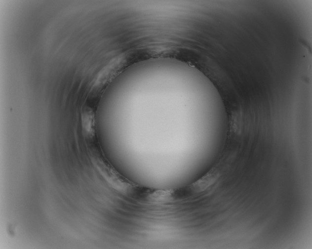 X0000103480138200809261936