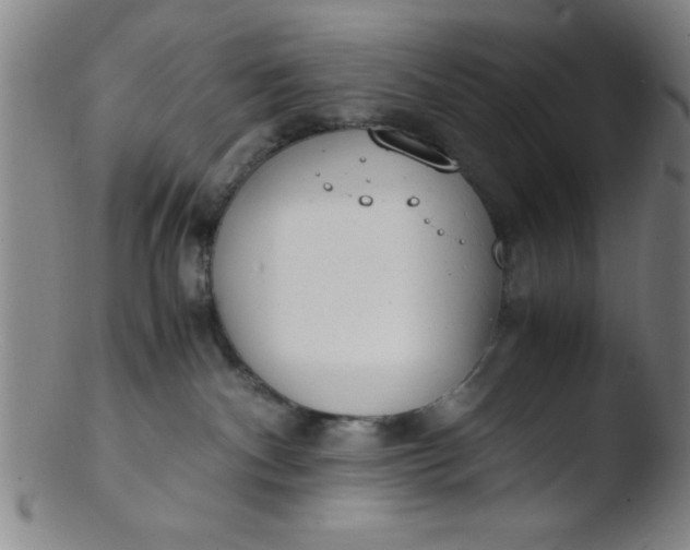 X0000103480140200809261936