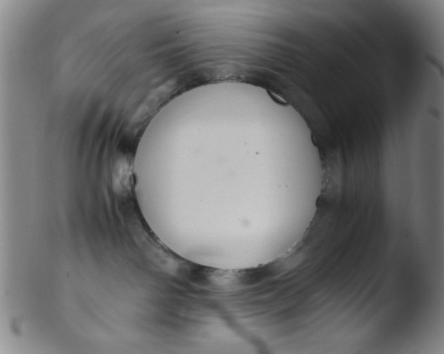 X0000103480142200809261936