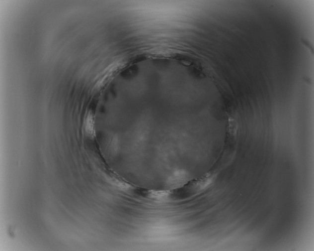 X0000103480143200809261936