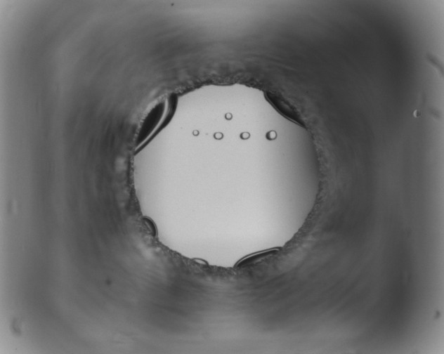 X0000103480144200809261936