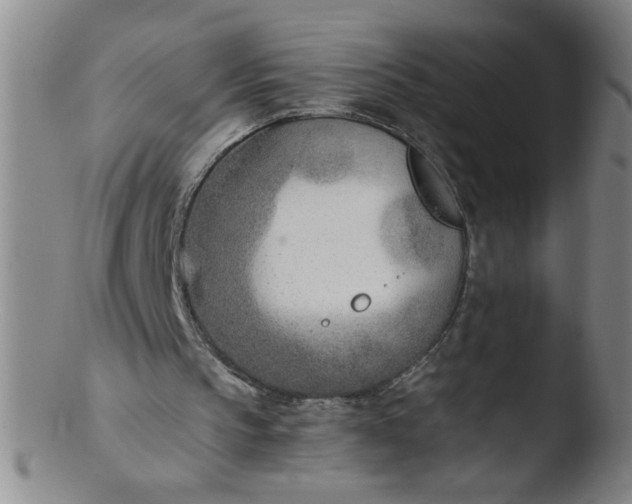 X0000103480145200809261935