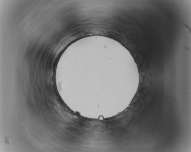 X0000103480146200809261935