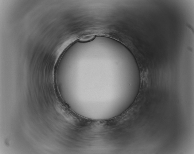 X0000103480148200809261935