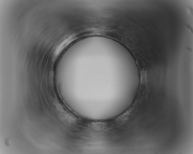 X0000103480150200809261935