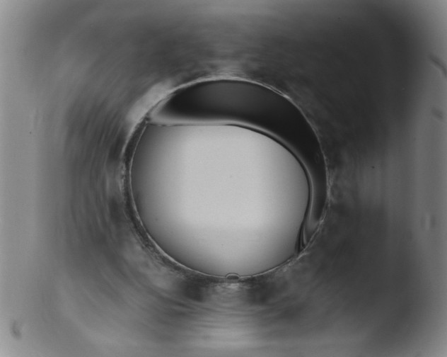 X0000103480152200809261935