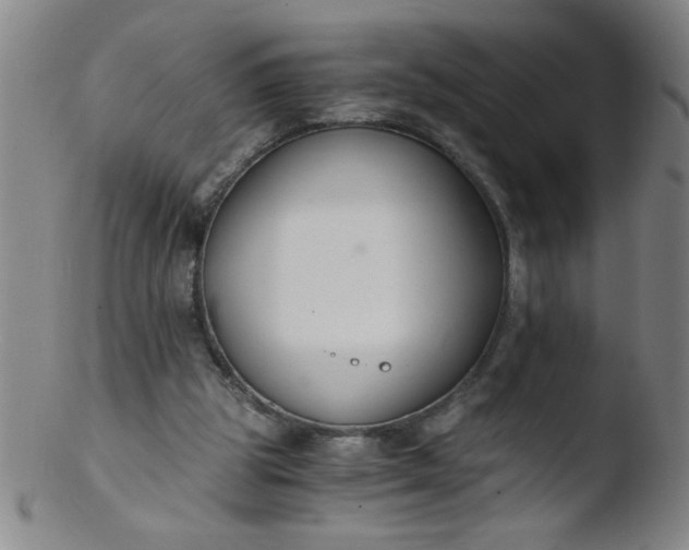 X0000103480153200809261935