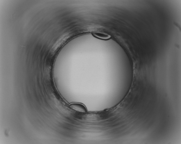 X0000103480154200809261935