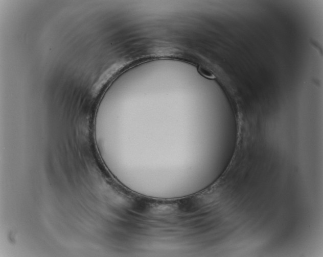 X0000103480155200809261935