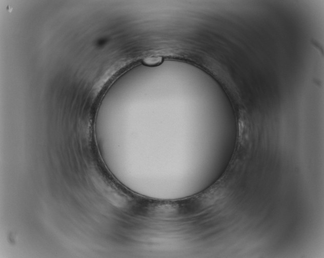 X0000103480156200809261935