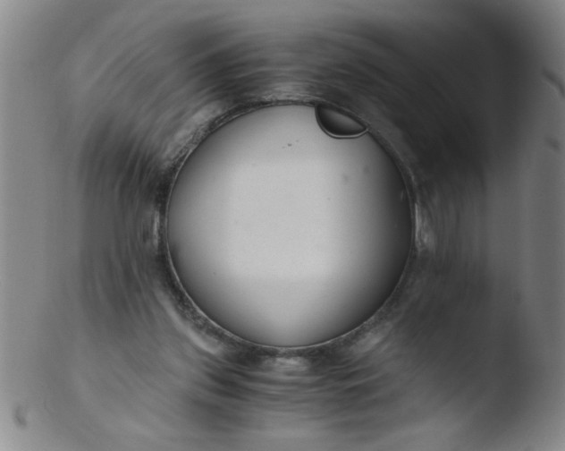 X0000103480157200809261935