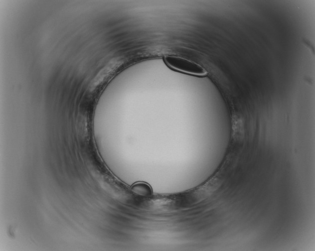 X0000103480158200809261935