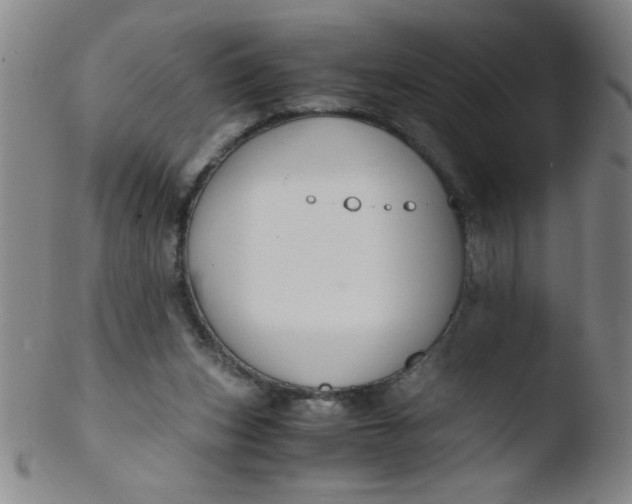 X0000103480159200809261935