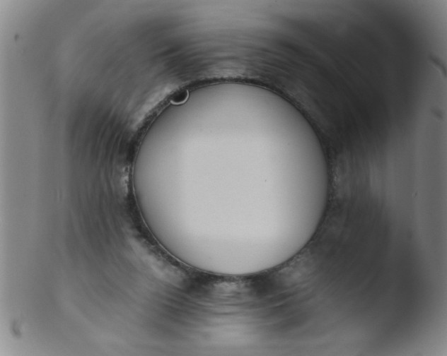 X0000103480160200809261935