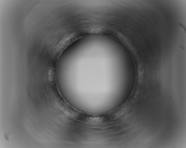 X0000103480161200809261935